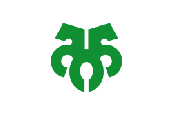 Flag of Kitagatau
